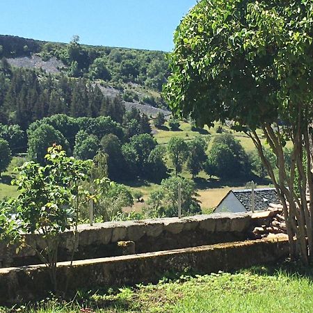 La Cure Grande Maison De Charme De 2 A 14 Personnes Saint-Urcize المظهر الخارجي الصورة