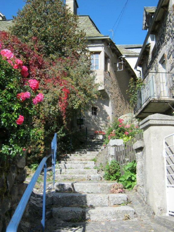 La Cure Grande Maison De Charme De 2 A 14 Personnes Saint-Urcize المظهر الخارجي الصورة